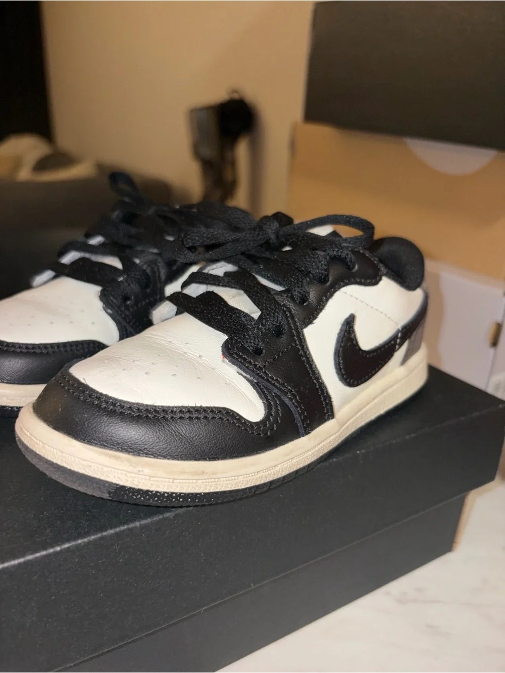 Unisex Jordan low ones